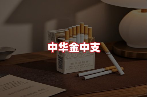 中华金中支